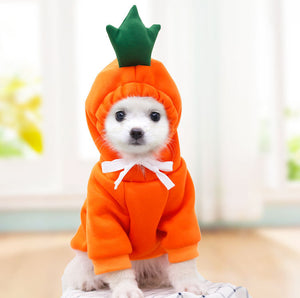 Cute Fruit Print Warm Fleece Hoodies/Clothes For Dogs