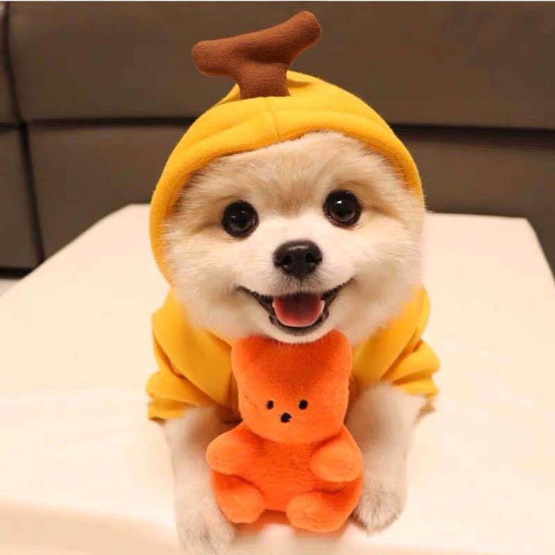 Cute Fruit Print Warm Fleece Hoodies/Clothes For Dogs